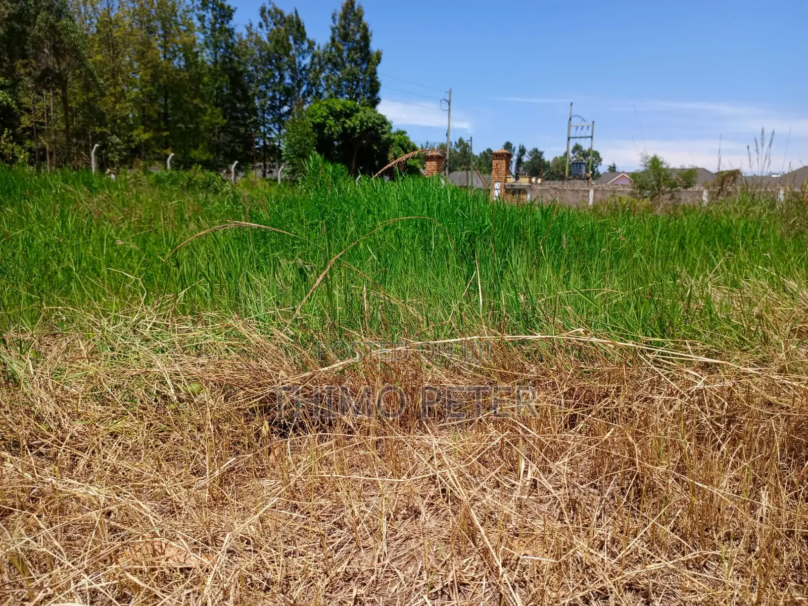 Plot for Sale