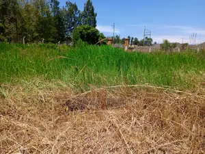 Plot for Sale