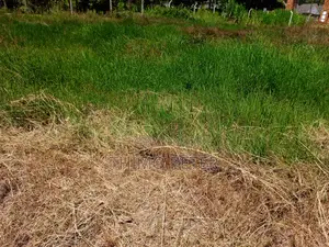 Plot for Sale