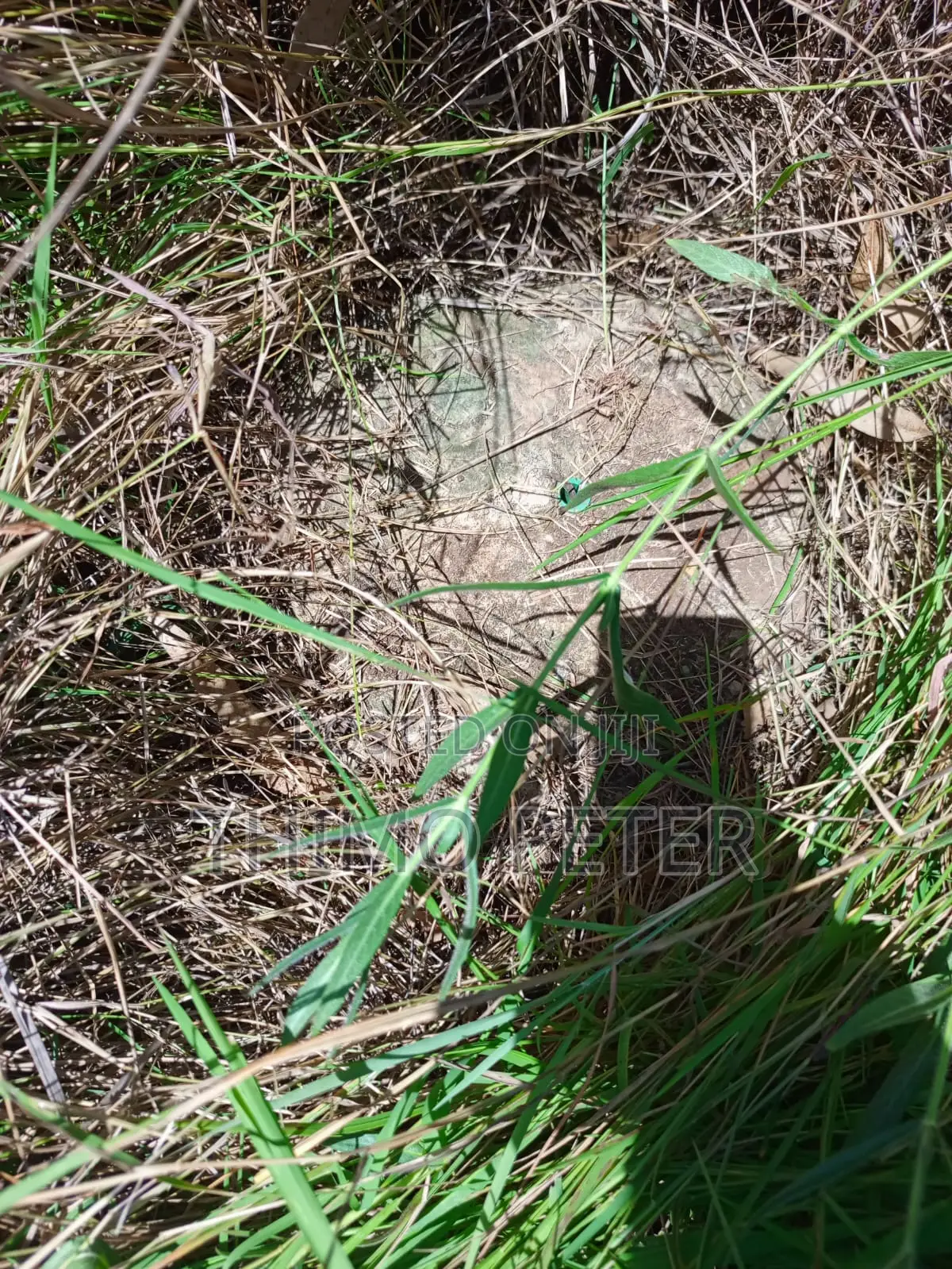 Plot for Sale