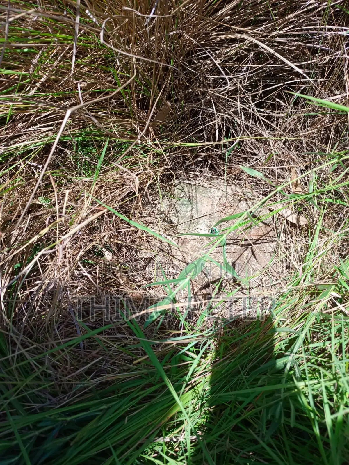 Plot for Sale