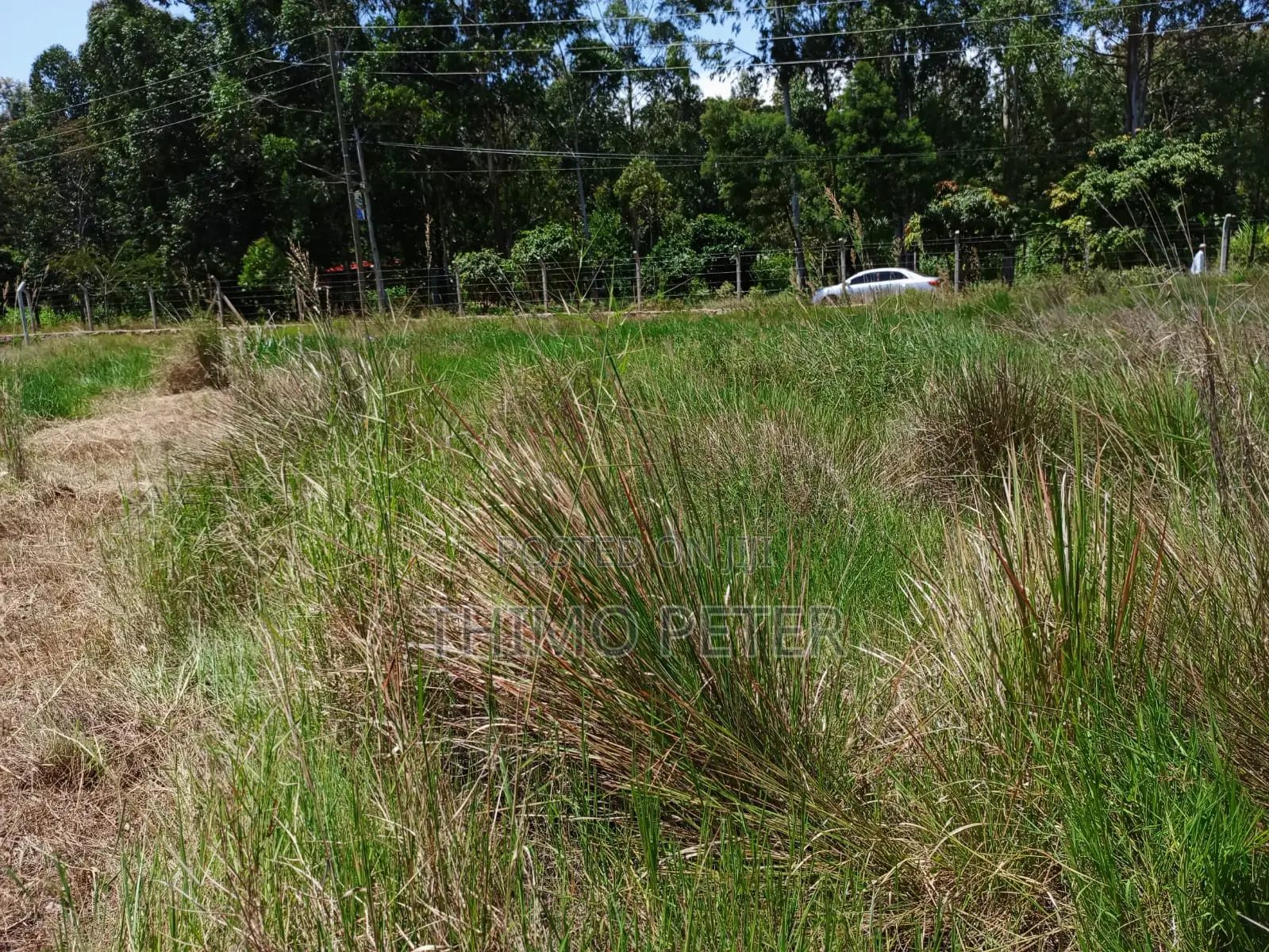 Plot for Sale