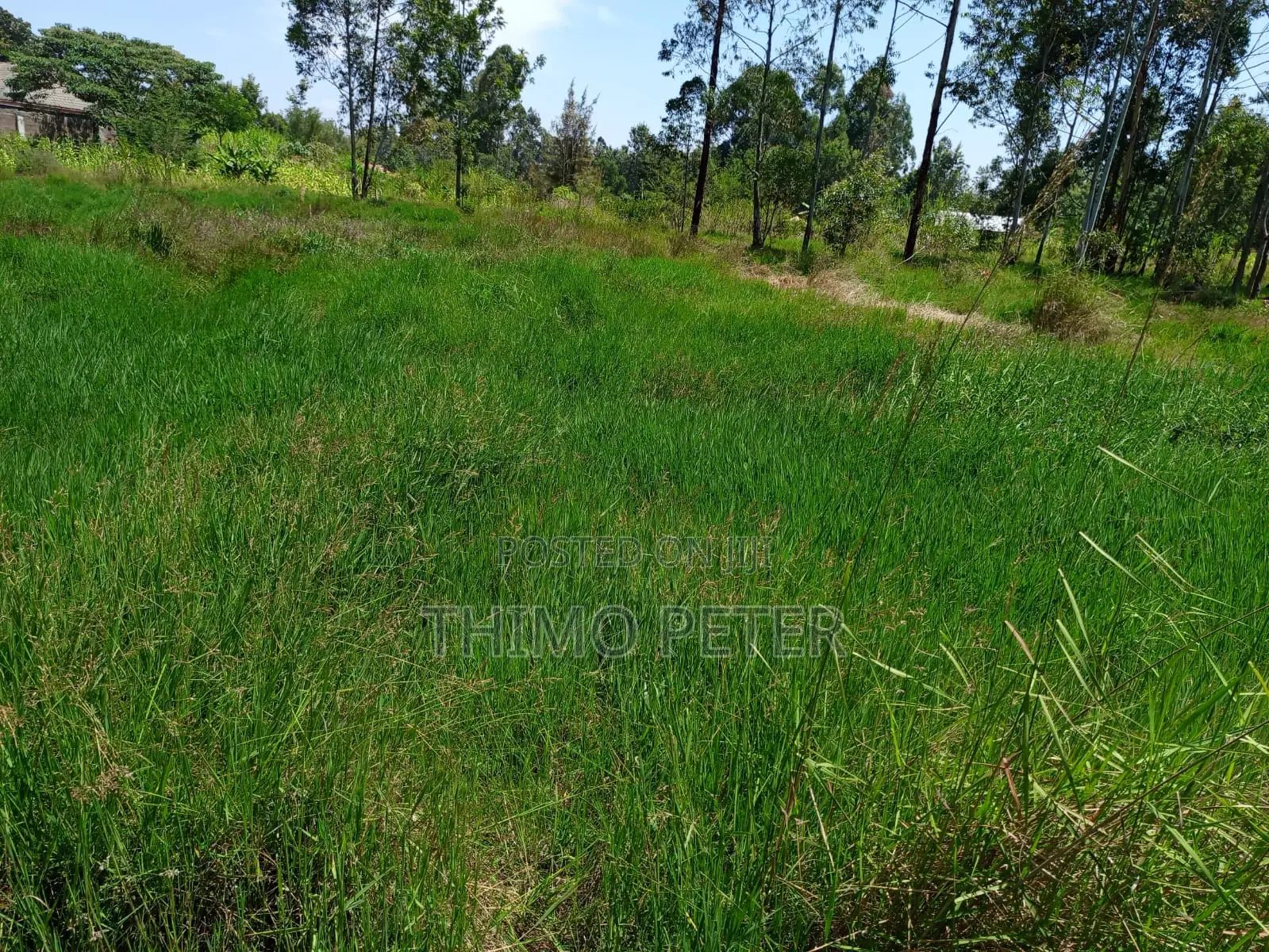 Plot for Sale