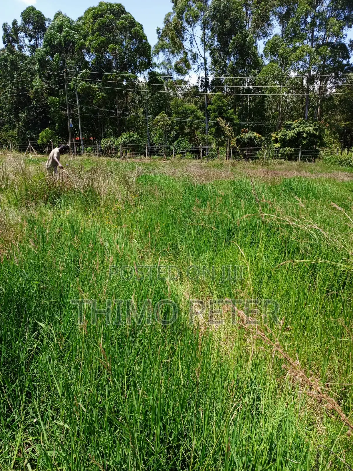 Plot for Sale