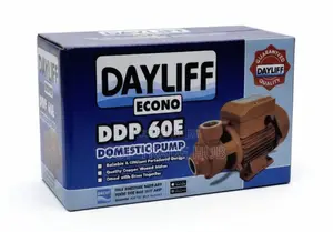 Dayliff Econo Ddp 60e Domestic Booster Water Pump 0.5hp