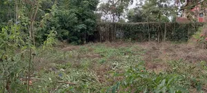1/4 Acre Plot in Ngong Olepolos for Sale