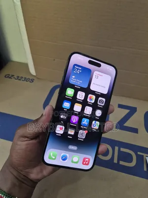 Apple iPhone 14 Pro Max 256 GB Gray