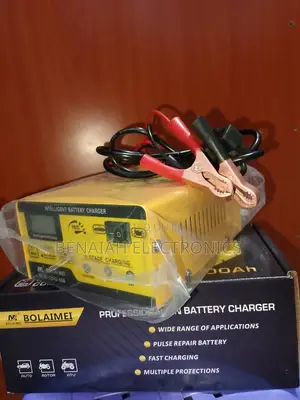 Intelligent Battery Charger,12volts,24 Volt