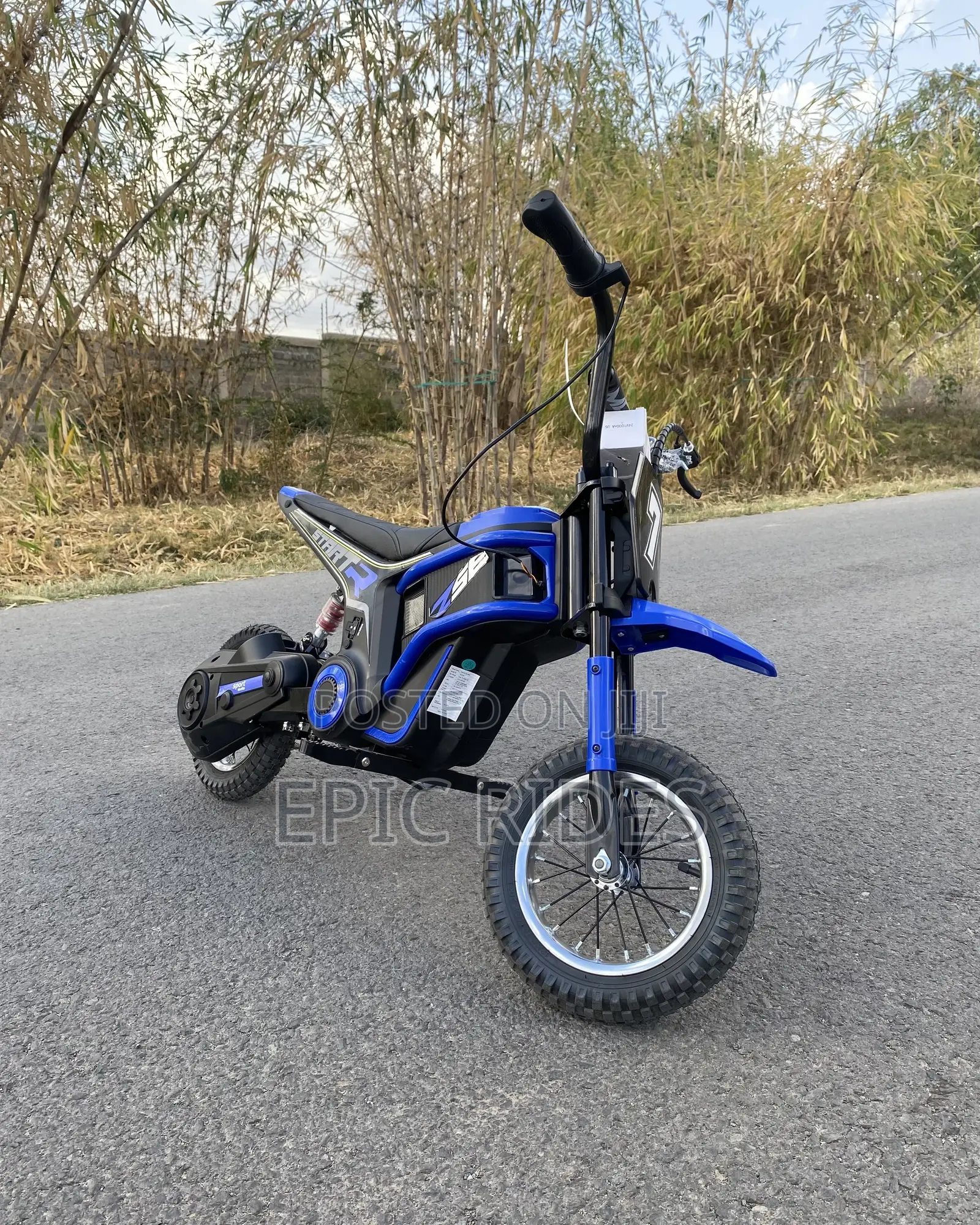 Electric Dirt Bike