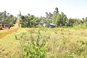 Prime Plots at Karura Highbridges