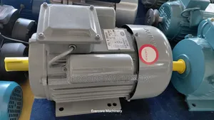STCL Italy 3hp Electric Single Phase Motor