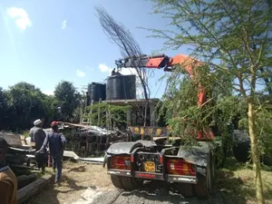 Crane Services for Lifting and Logistics Are Available