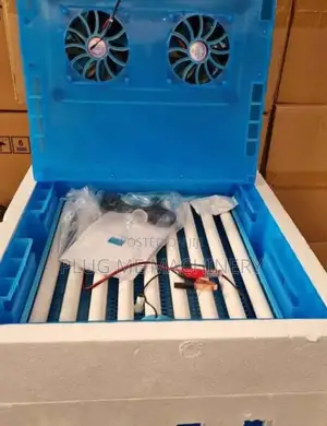 Best Efficient 64 Automatic Egg Incubator