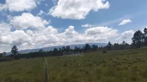 Brothers Land At Kaibaga Near Major Njoroge's Land.