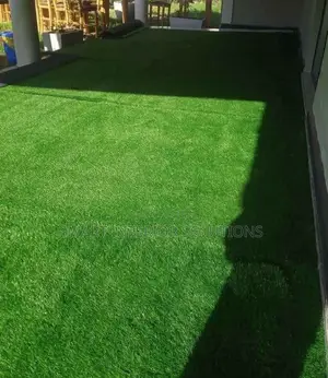 Evergreen Grass Carpet– Tsavo Road, Odeon