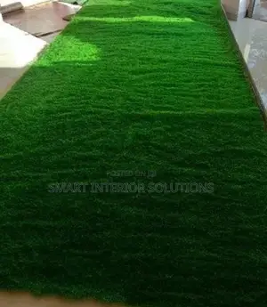 Premium Lawn Grass Turf Rolls in Stock– Tsavo Road, Odeon