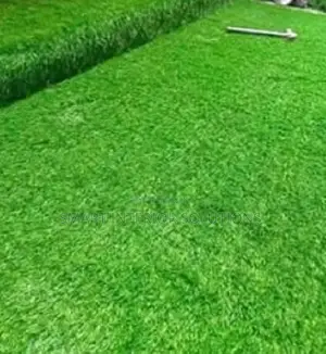 Premium Turf for Gardens and Courtyards – Tsavo Road, Odeon