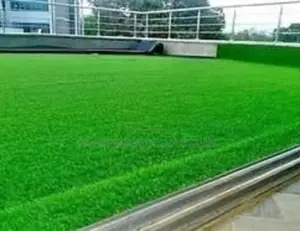 Commercial Artificial Turf Available – Tsavo Road, Odeon