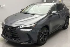 Lexus NX 300h 2020 Gray