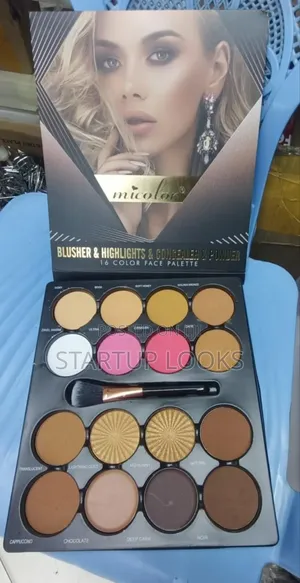 Micolor Contour Palette 16 in 1 Powder Palette