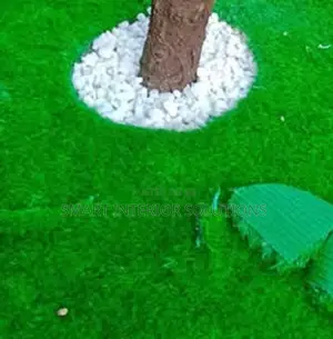Landscaping Turf at Affordable Rates – Tsavo Road, Odeon