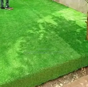 Green Grass Carpet for Outdoor Activities– Tsavo Road