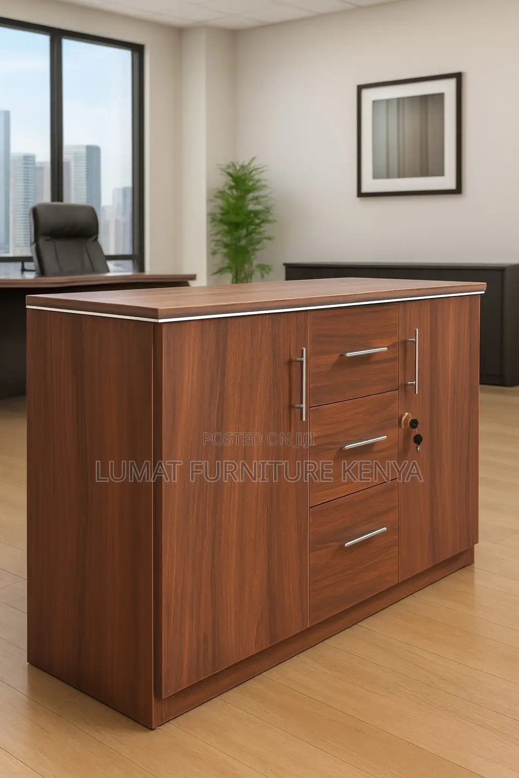 Modern Executive Office Cupboard