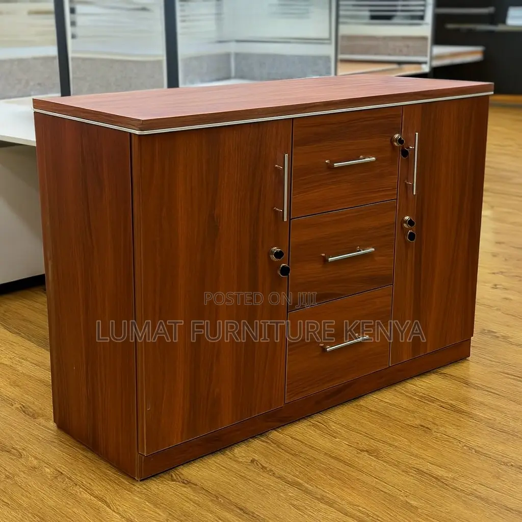 Modern Executive Office Cupboard