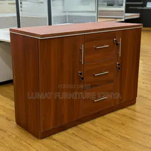 Modern Executive Office Cupboard