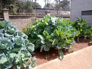 Multi Storey Gardens