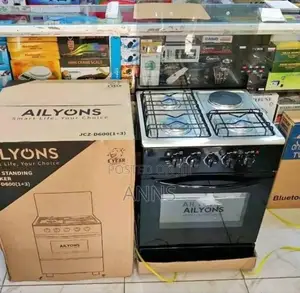 3+1 Ailyons Standing Cooker