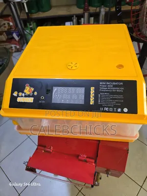 64 Egg Incubator