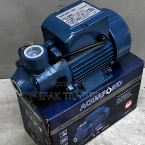 Aquapond 0.5hp Booster Water Pump