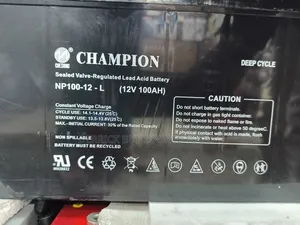 Champion 100ah 12v Deep Cycle Solar Battery