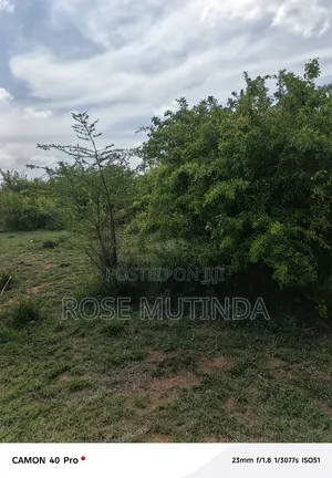 2acres Wendano