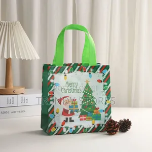 Christmas Paper Gift Bag