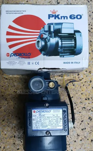 0.5hp Pedrollo Water Pump/Pedrollo Water Pump