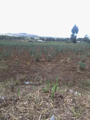 1 Acre Longonot