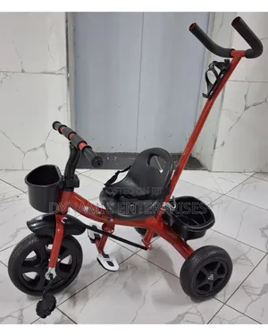 Toddler's Tricycle With a Parent Push Handle