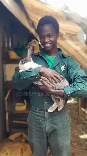 Hybrid and Rabbit Breeders