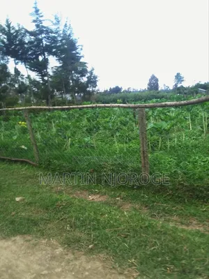 3 Acres Undiri, Kikuyu