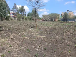 A Full Acre Piece of Prime Land for Sale in Merisho, Matasia
