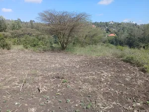 Prime 1/8 Acre Plots for Sale in Merisho, Matasia Near Tarmac