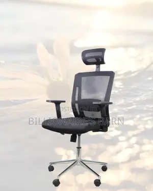 Sleek Mesh Chair With Chrome Base | All-Day Back Support