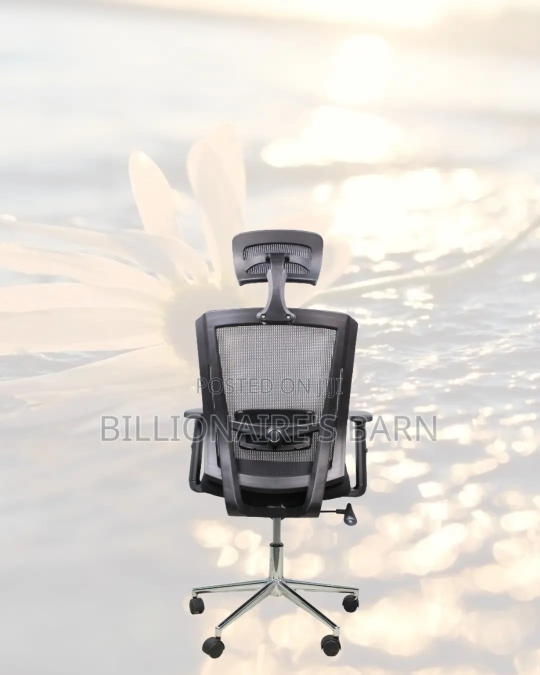Sleek Mesh Chair With Chrome Base | All-Day Back Support
