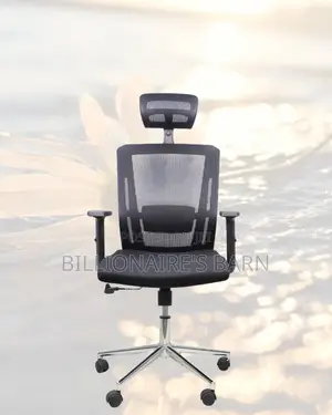 Sleek Mesh Chair With Chrome Base | All-Day Back Support