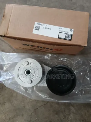 Weichai Automatic Tensioner 