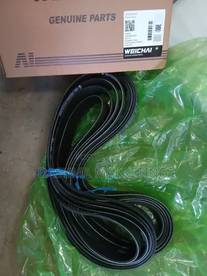 Weichai Poly v Belt 