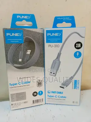 Type C Punex 2 Meters Charging Cable