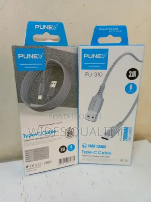 Type C Punex 2 Meters Charging Cable